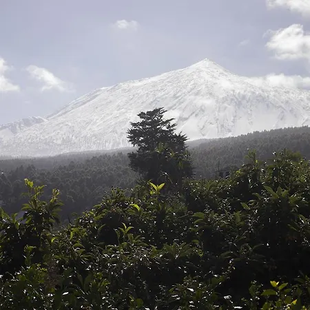 Вилла Mountain View Икод-де-лос-Винос