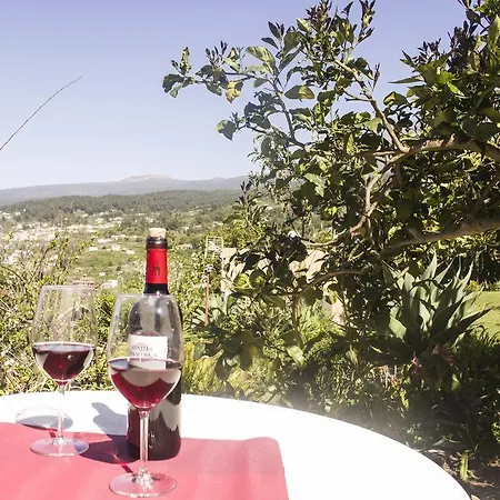 Mountain View Icod De Los Vinos