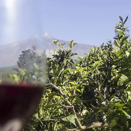 Villa Mountain View Icod De Los Vinos